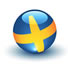Professional Swedish Translation Agency