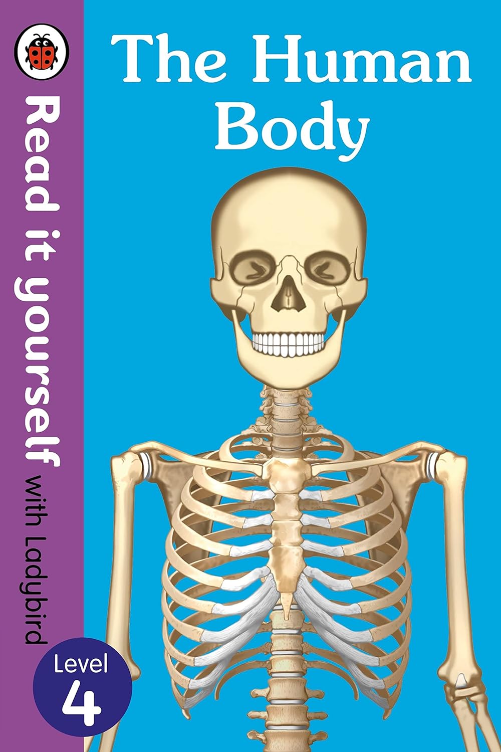 THE HUMAN BODY